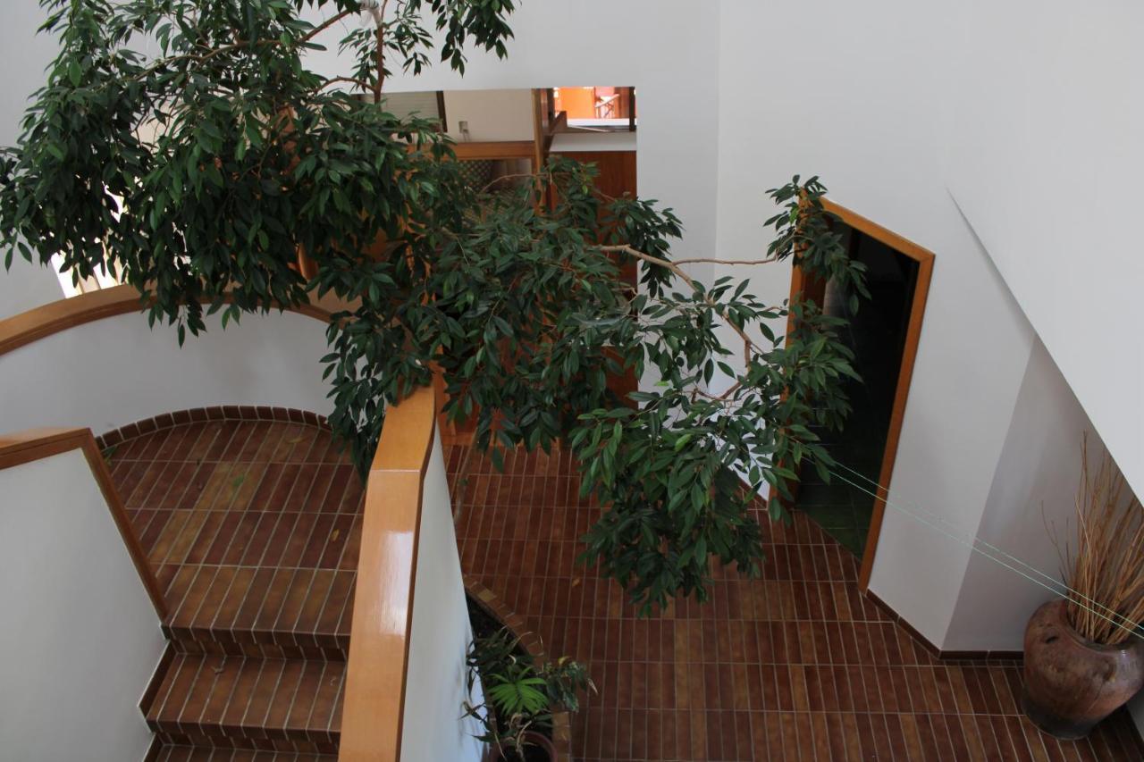 Villa De L'Ebre Deltebre Zewnętrze zdjęcie